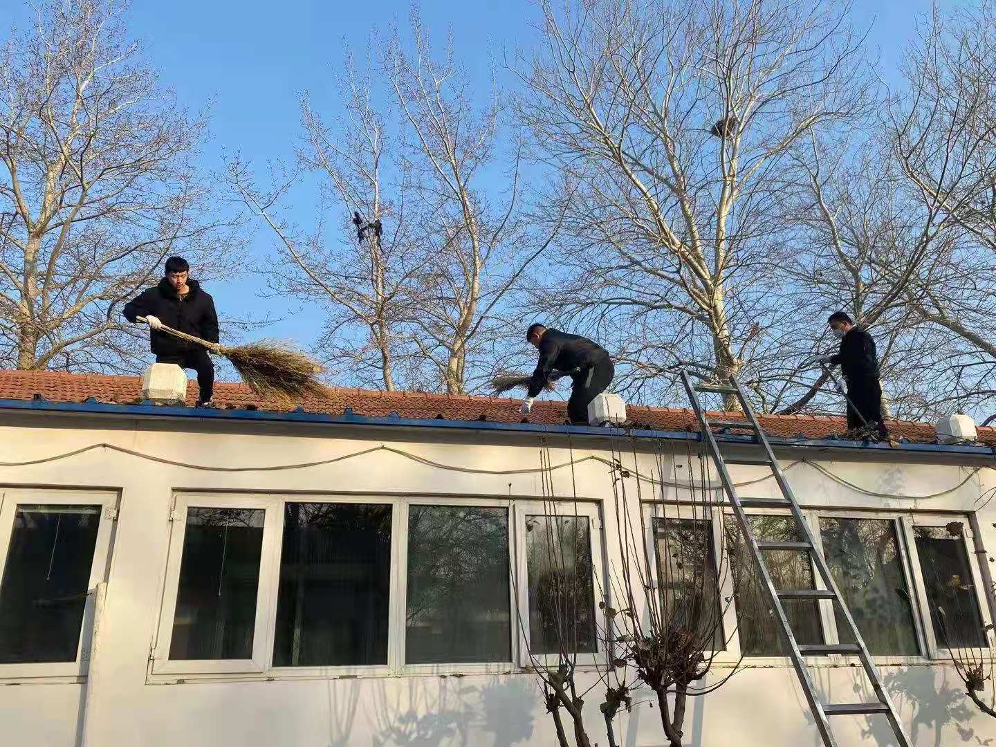 千禾养老林校路街道养老照料中心装修设计方案招标公告