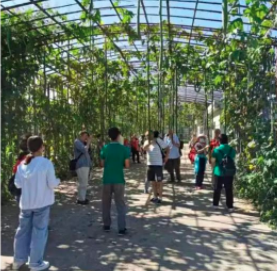 会员活动 | 8月精彩活动，嗨一夏！